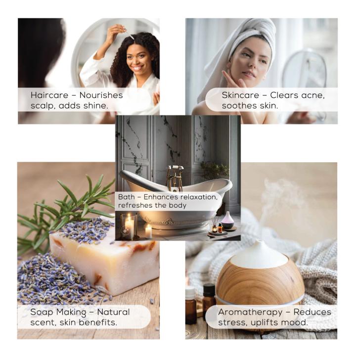 BNK VEDA Natural Cares Essential Oils Set (6x10ml) | Lavender Oil | Peppermint Oil | Tea Tree Oil | Eucalyptus Oil | Lemon Oil | Frankincense Oil | Pure & Organic Essential Oils