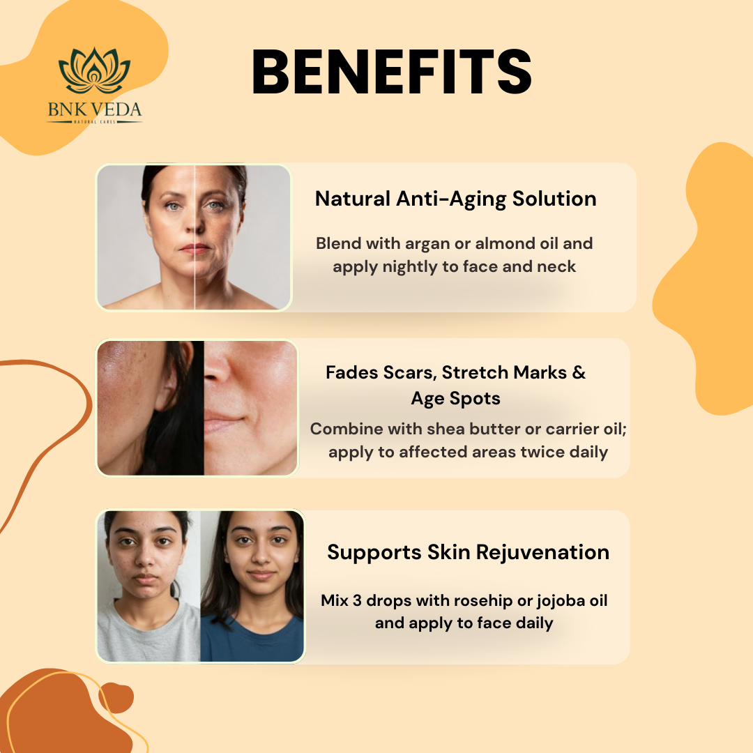  Key Benefits & How to Use